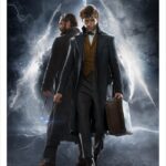 Animales Fantásticos: Los Crímenes de Grindelwald