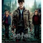 Harry Potter y Las Reliquias de La Muerte: parte 2